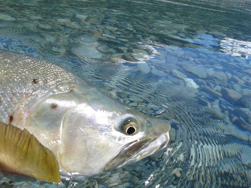 Hatch Fly Fishing, Wanaka, New Zealand