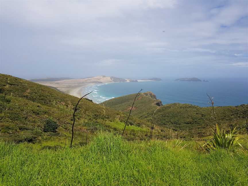 Harrison Cape Reinga Tours, Kaitaia, New Zealand