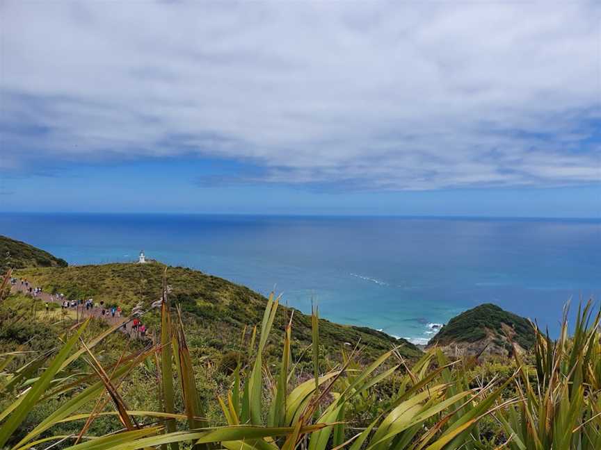 Harrison Cape Reinga Tours, Kaitaia, New Zealand