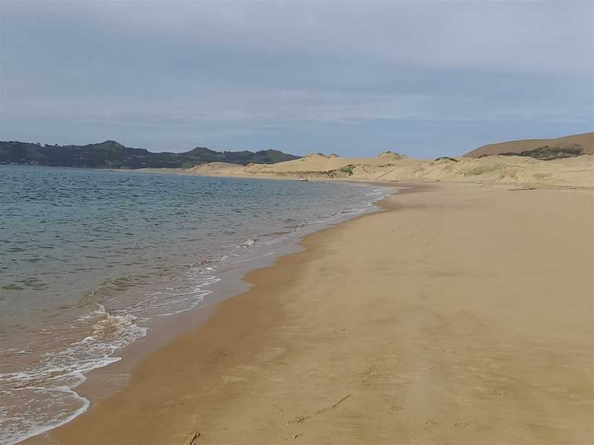 Hokianga Express Charters, Omapere, New Zealand