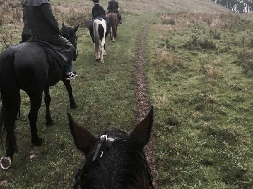 Horse Trekking Lake Okareka, Rotorua, New Zealand