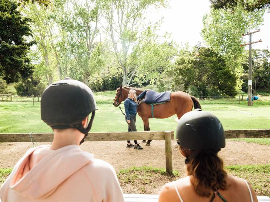 Horse Treks at The Farm, Whangaruru, New Zealand