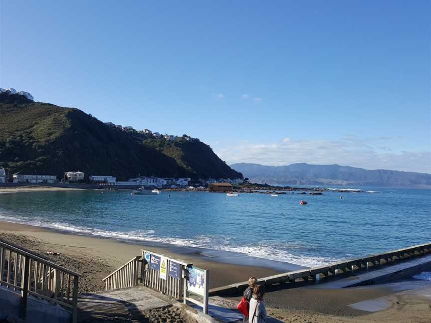 Island Bay Divers, Island Bay, New Zealand