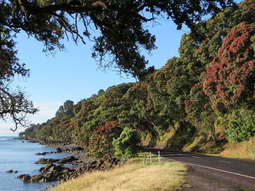 Jolly Bikes, Thames, New Zealand