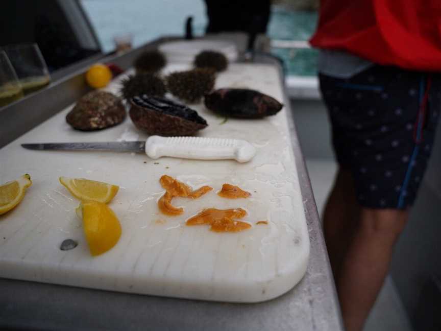 Katabatic Charters, Picton, New Zealand