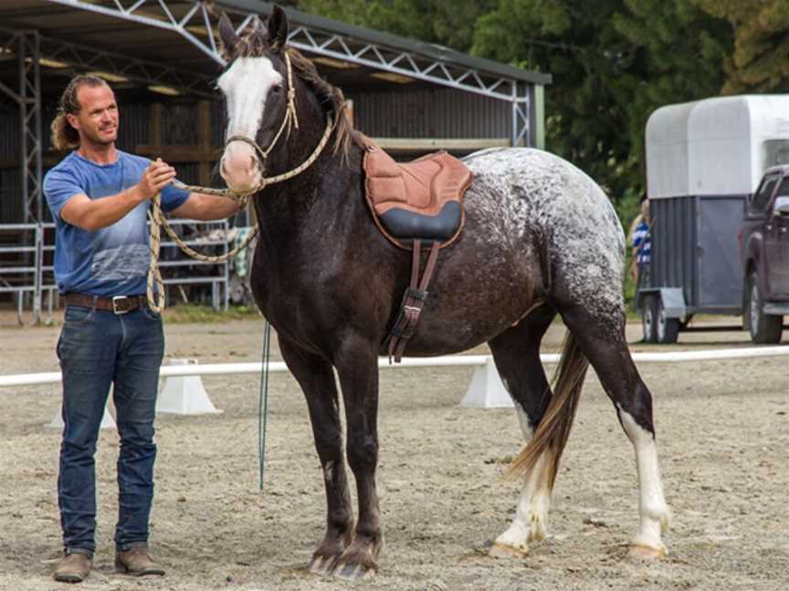 Kates Riding Centre, Kerikeri, New Zealand