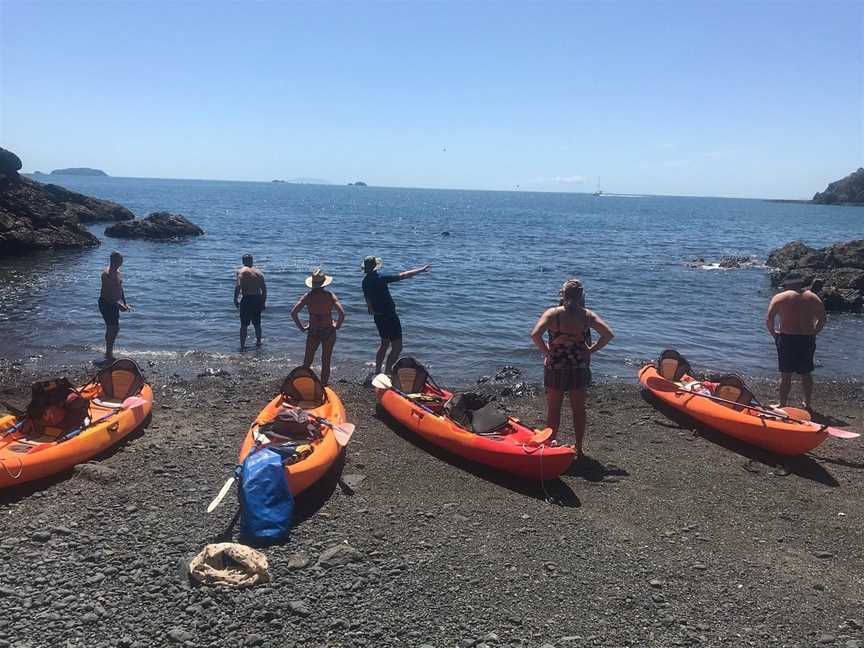 Kayak Waiheke, Oneroa, New Zealand