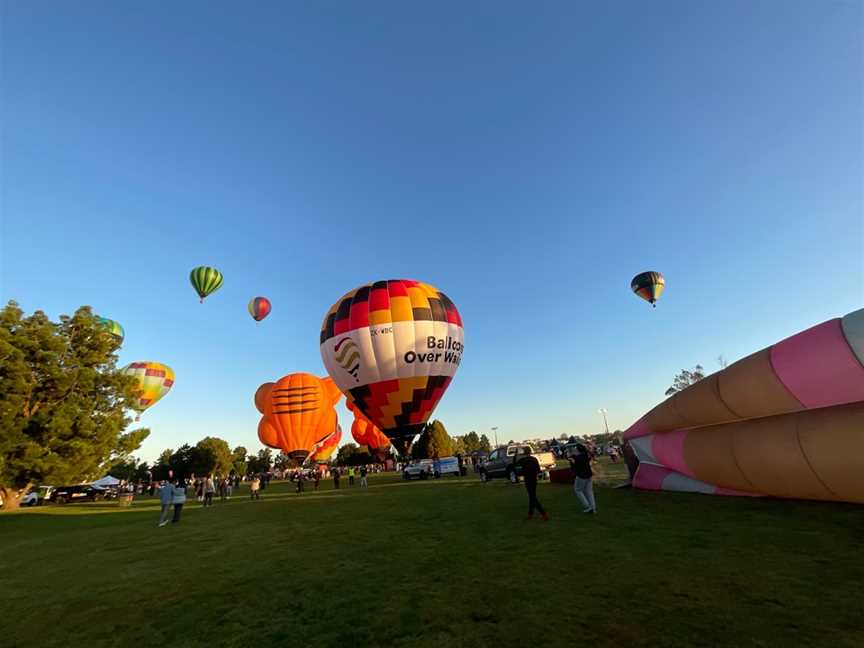 Kiwi Balloon Company, Hamilton Lake, New Zealand