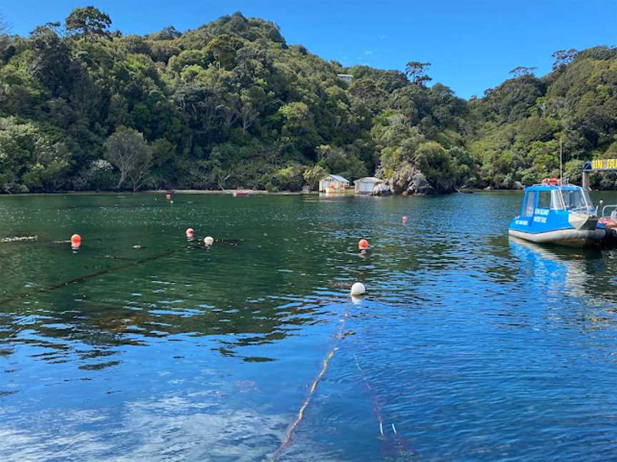 Rakiura Adventure Ltd., Stewart Island, New Zealand