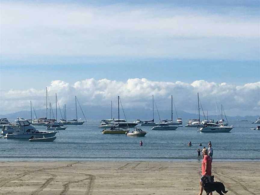 MagicBroomstick (Segway) Tours, Devonport, New Zealand