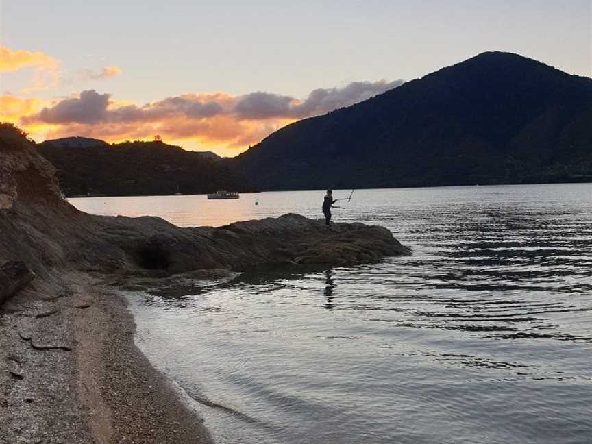 Marlborough Shuttles, Blenheim, New Zealand