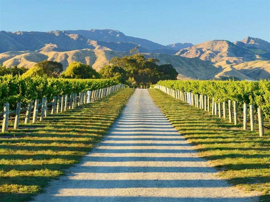 Marlborough Wine Tours, Springlands, New Zealand