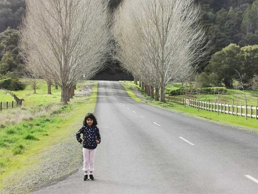 Matakana River Tours, Matakana, New Zealand