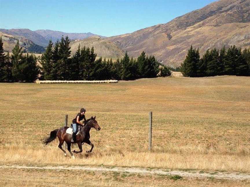 Moonlight Stables, Queenstown, New Zealand