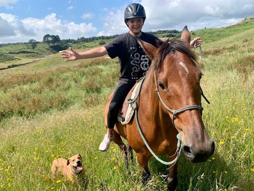 My Horsemanship Adventure, Pyes Pa, New Zealand