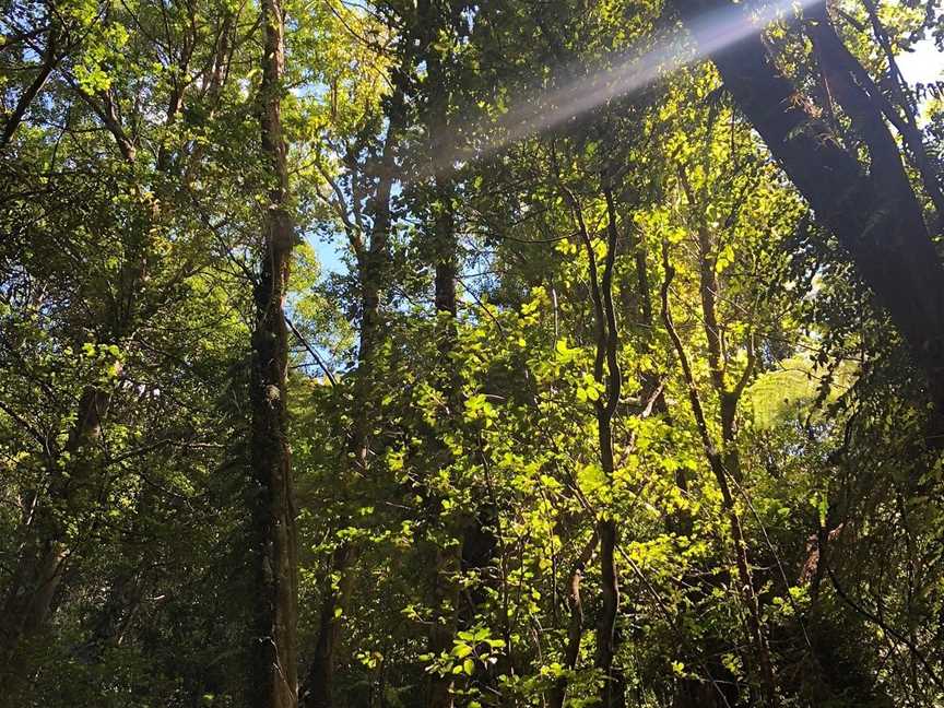 Natural Encounters Walks, Picton, New Zealand