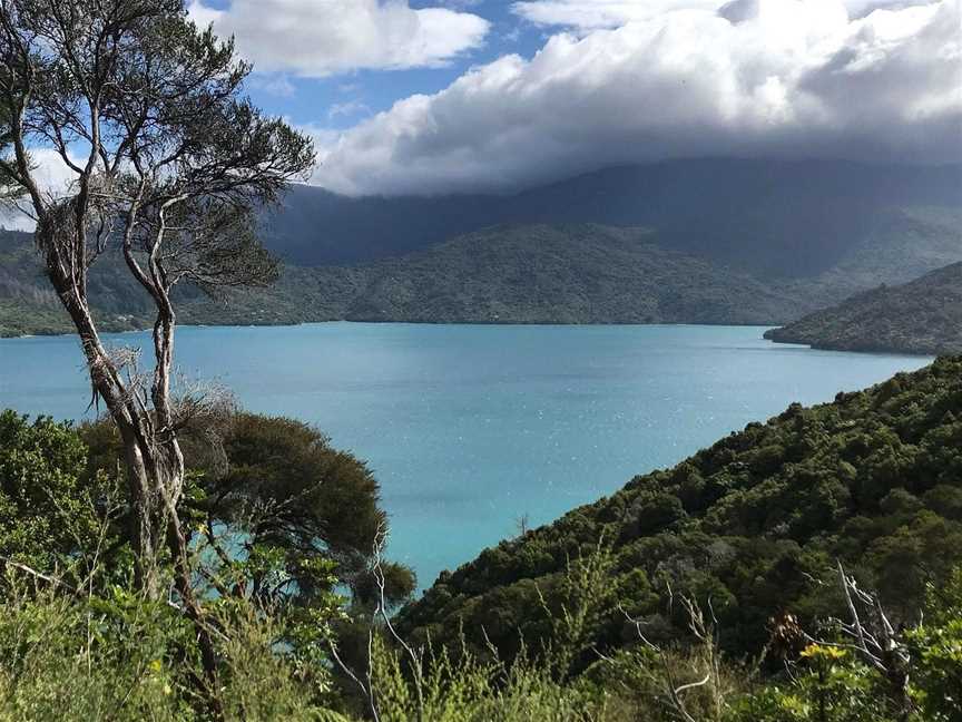 Natural Encounters Walks, Picton, New Zealand