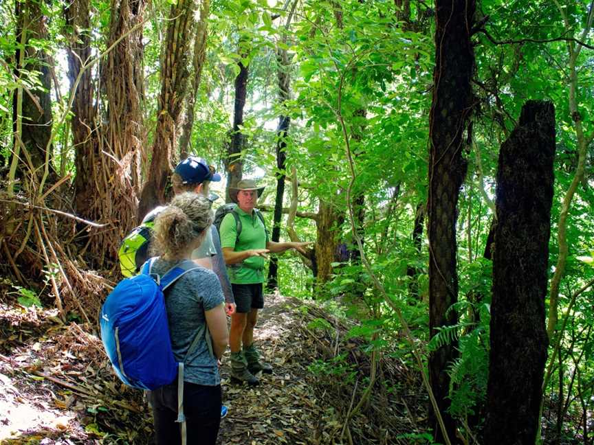 Nature & Nosh Tours, Temple View, New Zealand