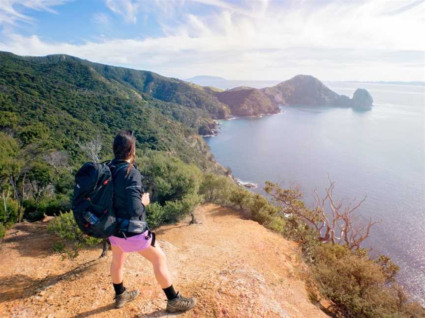 Nature & Nosh Tours, Temple View, New Zealand