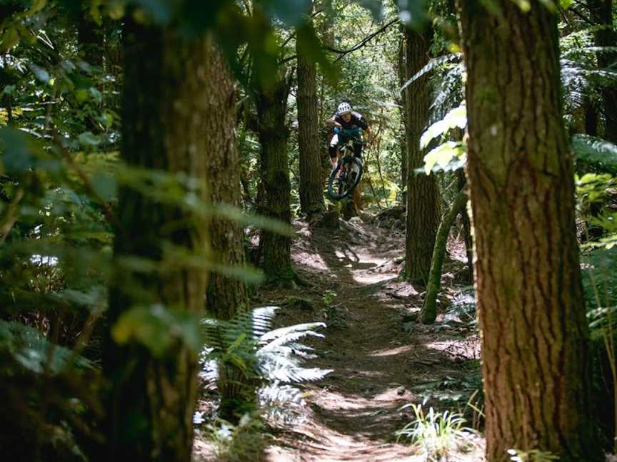 New Zealand Mountain Biking, Rotorua, New Zealand