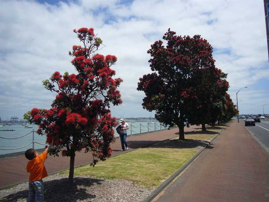 New Zealand Sailing Academy, Kohimarama, New Zealand