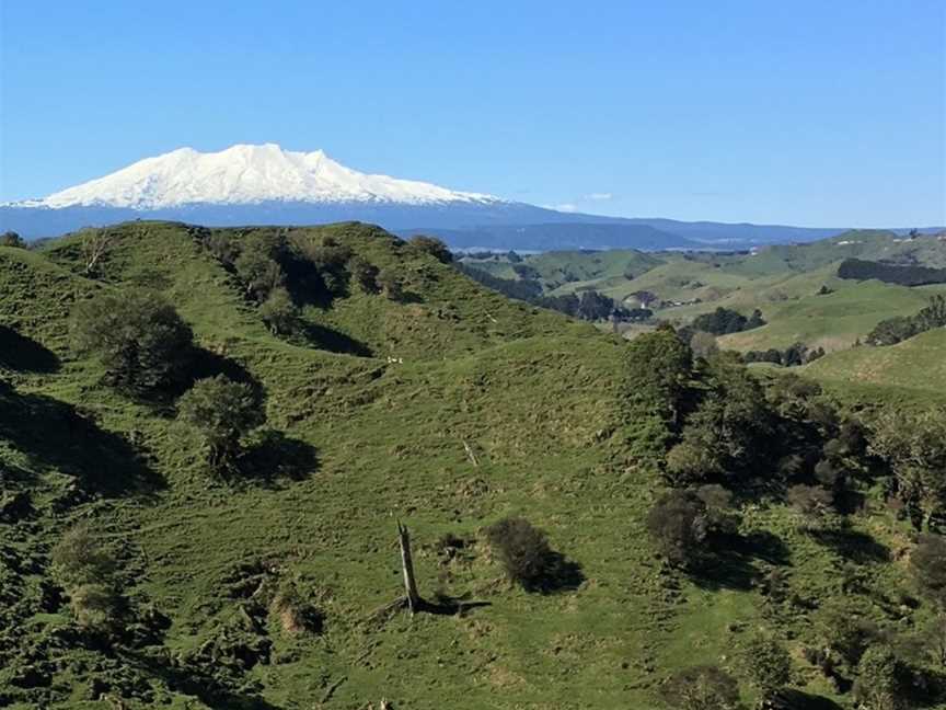 Owhango Adventures, Owhango, New Zealand