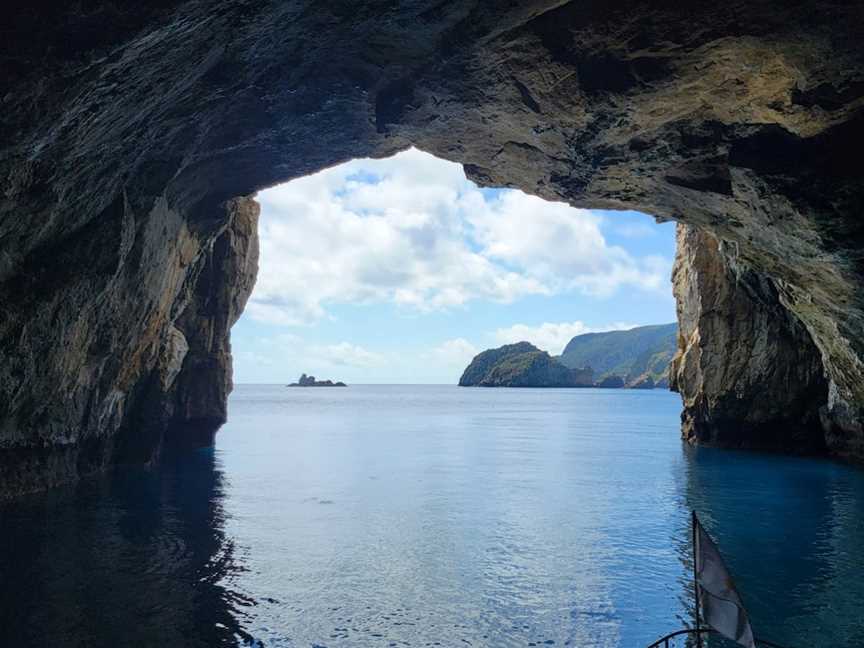 Perfect Day Ocean Cruise, Tutukaka, New Zealand