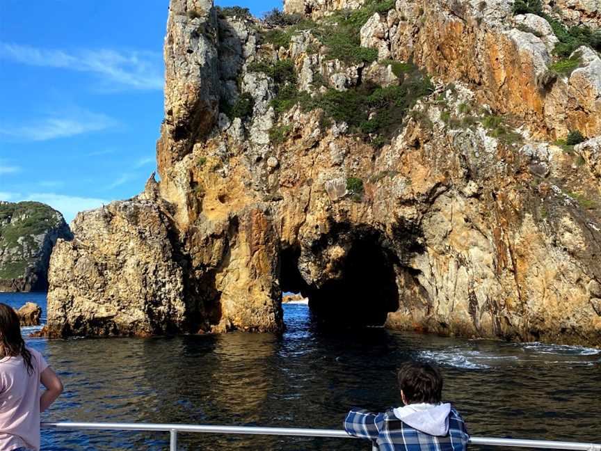 Perfect Day Ocean Cruise, Tutukaka, New Zealand