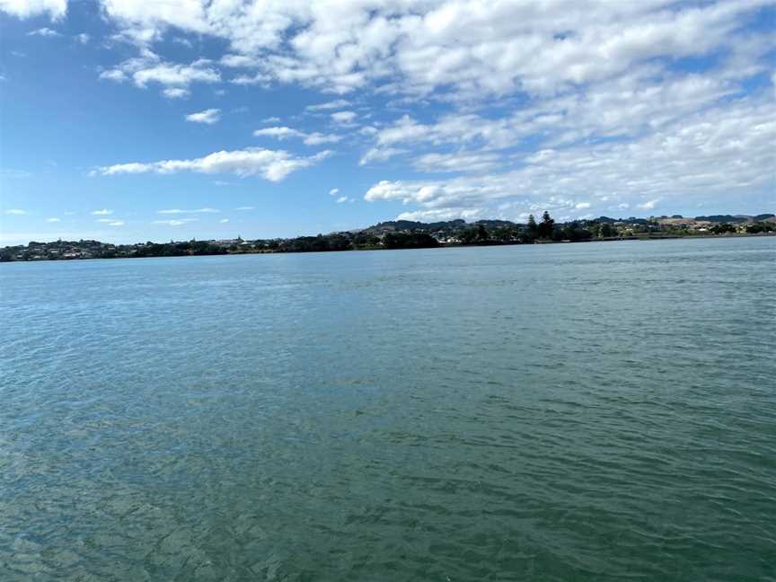 Raglan Harbour Cruises, Raglan, New Zealand