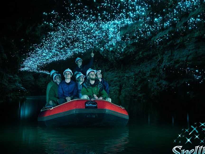 Spellbound Glowworm and Cave Tour, Te Kuiti, New Zealand