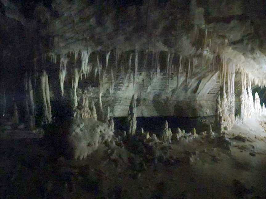 The Charleston Glowworm Cave Tour, Charleston, New Zealand