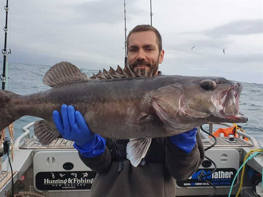 The Rodfather Fishing Charters, Kaikoura, New Zealand