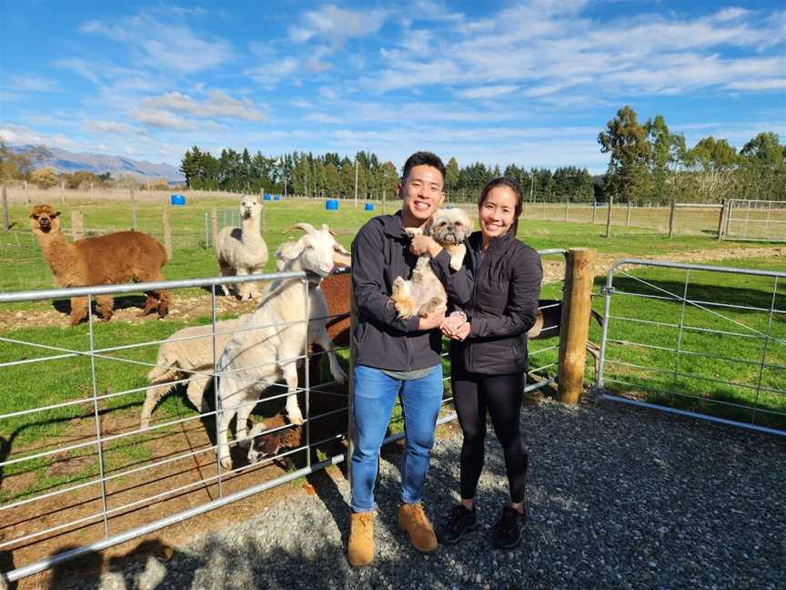 The Shed Farm, Te Anau, New Zealand