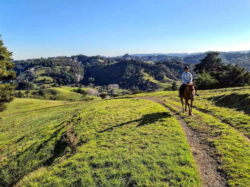 Ti Tree Hills Horse Treks, Waiwera, New Zealand