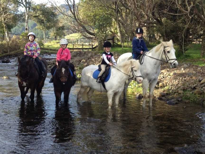 Thompsons Riding School, Upper Hutt, New Zealand