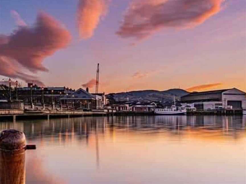 Tiakina Harbour Cruises, Dunedin, New Zealand