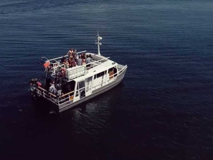 Top Cat Charters - Taupo, Taupo, New Zealand