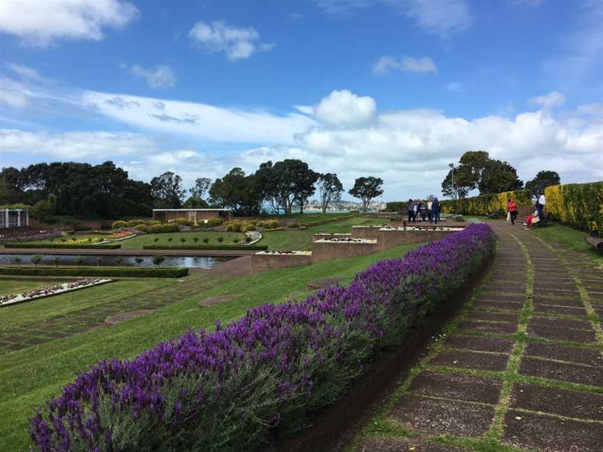 Tui Tours, Auckland, New Zealand