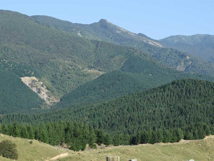 Waikura Joint Stations, Awakaponga, New Zealand