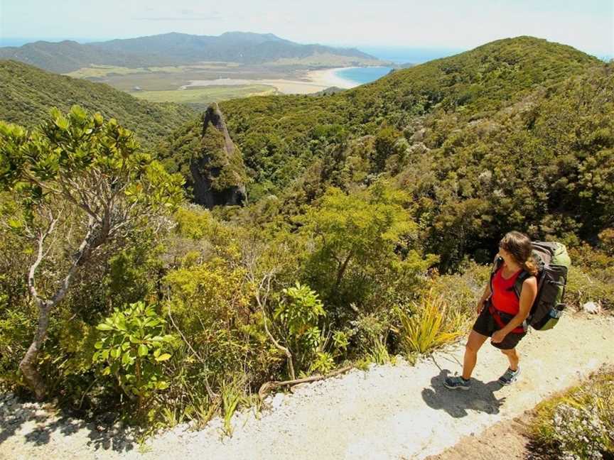 Walking Legends Guided Walks, Te Puke, New Zealand