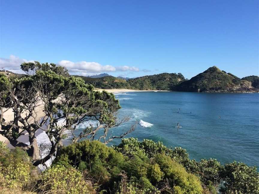 Walking Legends Guided Walks, Te Puke, New Zealand