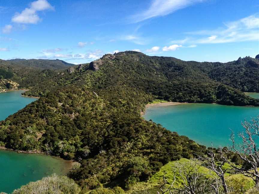 Whangaroa Harbour Adventures, Whangaroa, New Zealand