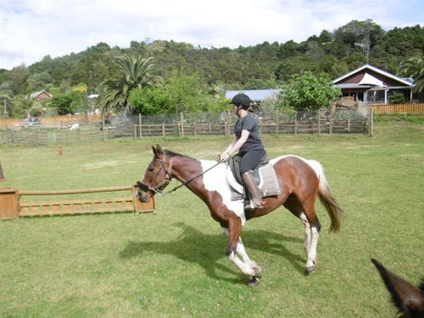 Whangarei City Riding Centre, Tikipunga, New Zealand