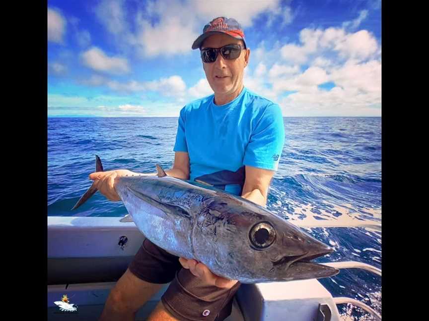 Wildcat Charters, Takaka, New Zealand