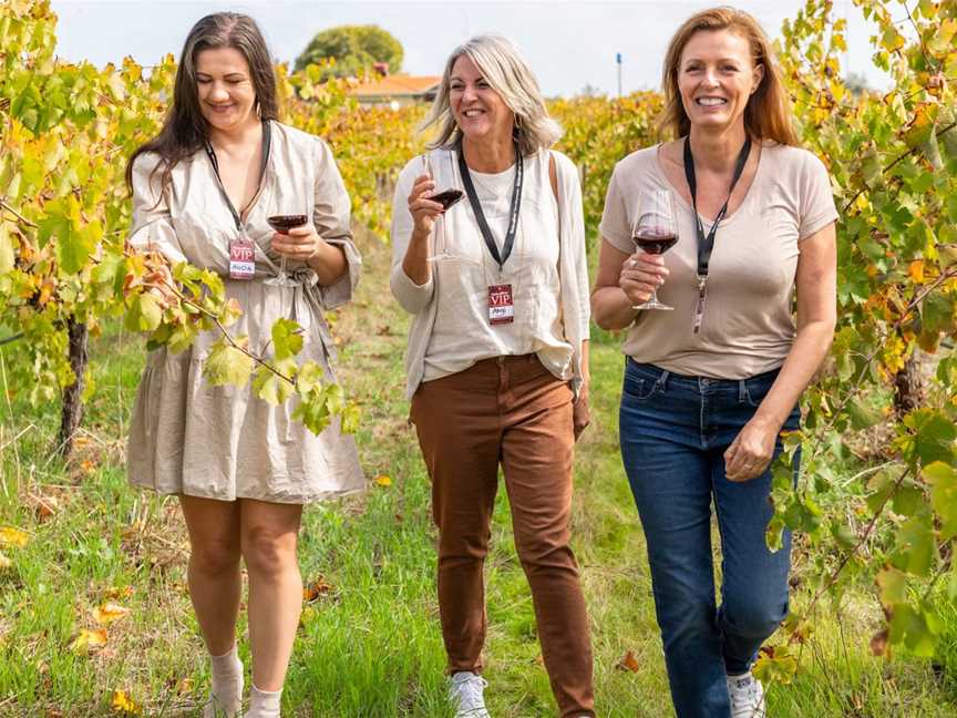 Guests enjoying wine in the Swan Valley