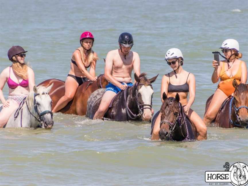 Horse Trek'n, Paihia, New Zealand