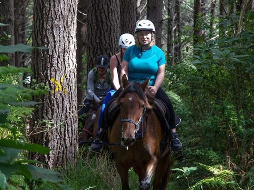 Horse Trek'n, Paihia, New Zealand