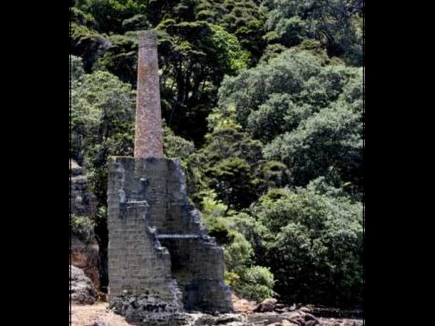 Kawau Cruises & Kawau Water Taxis, Warkworth, New Zealand