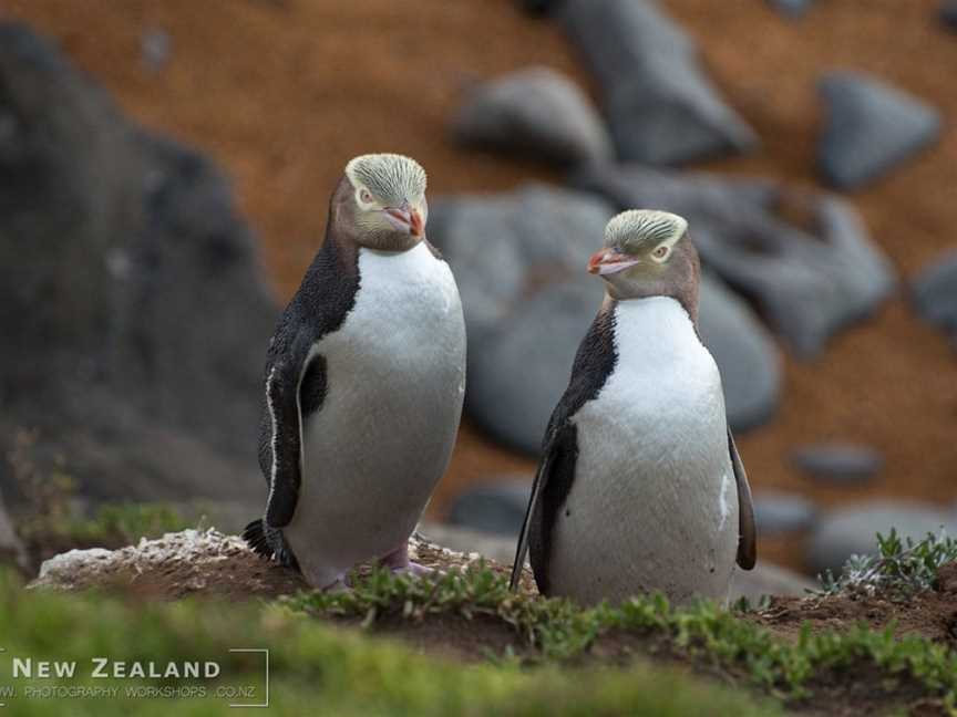 New Zealand Photography Workshops, Plimmerton, New Zealand