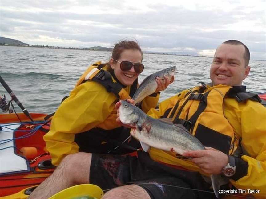 NZ Kayaker, Tauranga, New Zealand